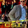 CSI:マイアミ5#1