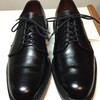 Allen Edmonds Leeds 定期的な手入れ