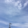 夏の日中は出歩きたくないのに