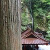 榛名神社、神楽殿