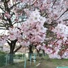 桜が咲くこんな季節に工事は始まった。