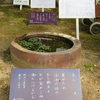 万葉歌碑を訪ねて（その１１２５）―奈良市春日野町　春日大社神苑萬葉植物園（８５）―万葉集　巻七　一二四九