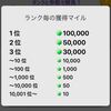 トリマ入れてみた　３日目