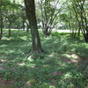 食卓の問題／この領土で・879