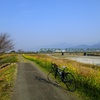 菜の花満開、中山川