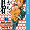 ヒカルの碁 第14巻