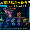 第2回・後編 DNA修復に失敗すると何が起きるのか？ ――突然変異・がん・老化、そして「完璧に直せない」人体