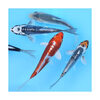 (錦鯉)錦鯉ミックス Sサイズ 8〜13cm(3匹)