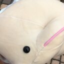 ゆるっとりばす