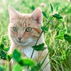 あなたの「欲しいもの」は、不安を生み出している？～『スタンフォードの自分を変える教室』