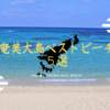 【奄美大島ベストビーチ5選】海のベンチに座って「ポークたまごおにぎり」をたべる