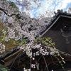 21年3月の熊野若王子神社・大豊神社のお話。