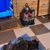 おいおい　記す。