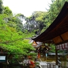 この時期の水度神社