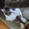 直になんか寝なくてよ