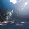 No.17 早朝の明治神宮