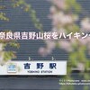 奈良県吉野山桜をハイキング