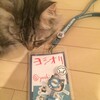 RubyKaigi のオススメコンテンツは廊下