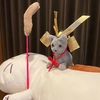 桶狭間合戦～信長が駆けた道を全部歩く～後編