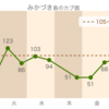 みかづき島滞在記 その5