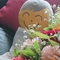 Ｄたんの問わず語り