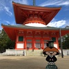 はじめての「高野山」～仏教の聖地をぶらり散策の旅 ＜和歌山県・高野町＞