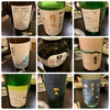 美味しい宴！M先生主催の日本酒を楽しむ会