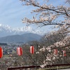 【長野県大町市】「大町公園（山岳博物館）」の桜情報2025年最新情報