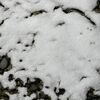 札幌は11月最後の日に初積雪となりました