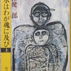 大江「洪水はわが魂に及び（上）」読了