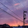 史上最短のGW、新緑に心癒される "Fururezon"