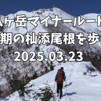 【八ヶ岳マイナールート】残雪期の杣添尾根を歩く！2025.03.23