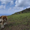 八丈島