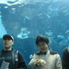 名古屋港水族館に行きました！！