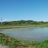 房総の田圃　Boso Paddy Field　博索的稻田