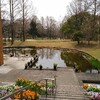 服部緑地の植物園 しだれ桜の開花状況