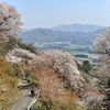 【茨城・桜川市】高峯の山桜が見ごろに♪お花見ハイキングに出かけよう！