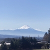 八ヶ岳南麓里山日記〜この頃のこと