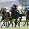 競馬初心者必見☆馬券予想🔥〜小倉2歳ステークス〜