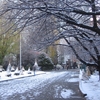 24, 11. 2012　降雪