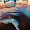 色のこといろいろ〜海中の色〜中村征夫写真展