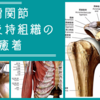 肩関節上方支持組織の癒着　烏口肩峰アーチ下の滑走障害・肩峰下圧と夜間痛・腱板疎部周辺の拘縮・上方支持組織の伸張テスト