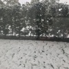 トロント 初雪！！！！！！冬の過ごし方は？