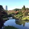 東京の紅葉の庭園①。新宿御苑、牧野記念庭園、ホテルニューオータニ日本庭園、清水谷公園