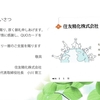 住友精化から2024年3月期の株主優待、期末配当、定時株主総会招集通知が届いたのである