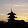 東寺・いつもの場所