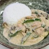 夫のためにサンバリア100の日傘を注文。食べ過ぎた晩ごはんのグリーンカレー。