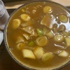 【今年初の外食はカレー南蛮】【チューリップの芽】