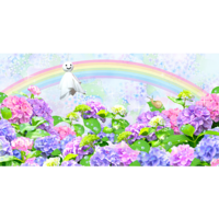 紫陽花とてるてる坊主
