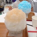 kobuko’s blog